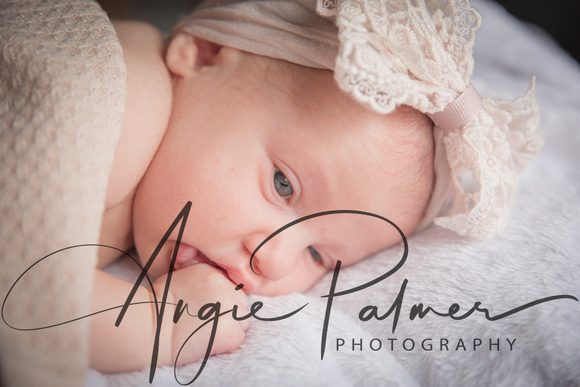 Maggie Lynn newborn-33